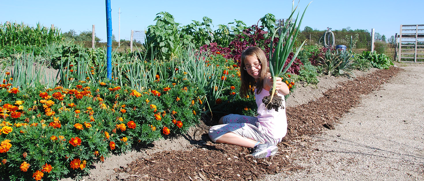 Girl picking onions